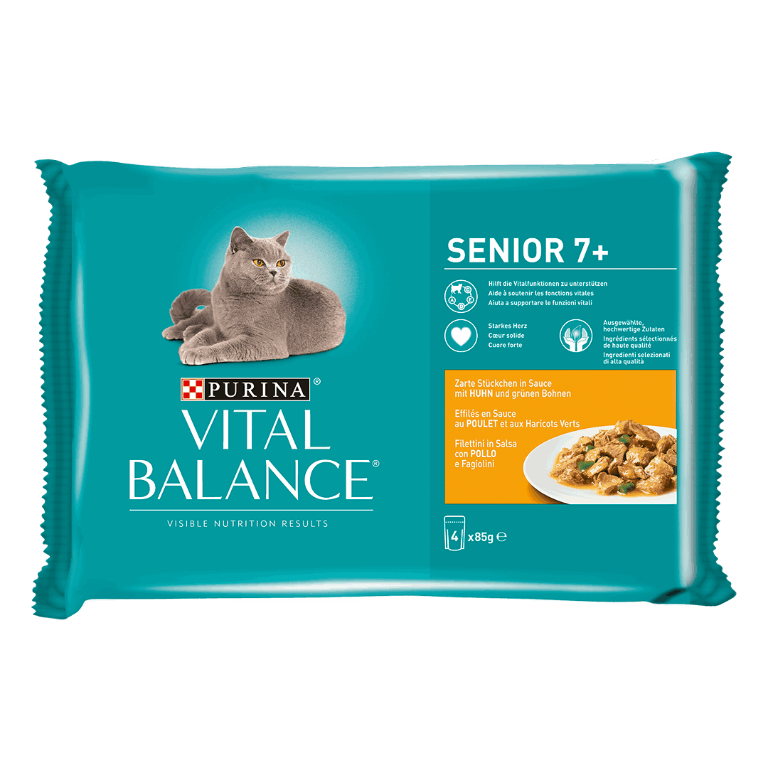 Vital 2024 balance purina